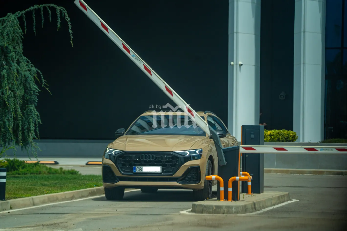 Ралица Паскалева се появи с луксозно златно Audi Q8 S line